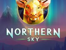 Northern Sky